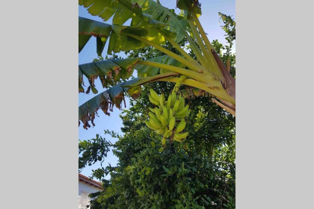 Ferienwohnung Casa Rustica Torremolinos Exterior foto